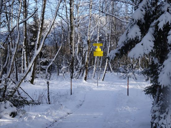 Winterwandern Grassau