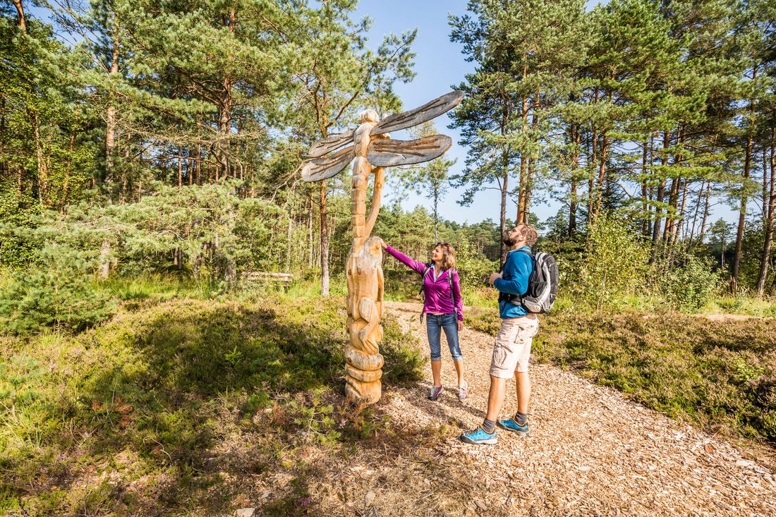 Auf dem Moorerlebnispfad im Schönramer Filz