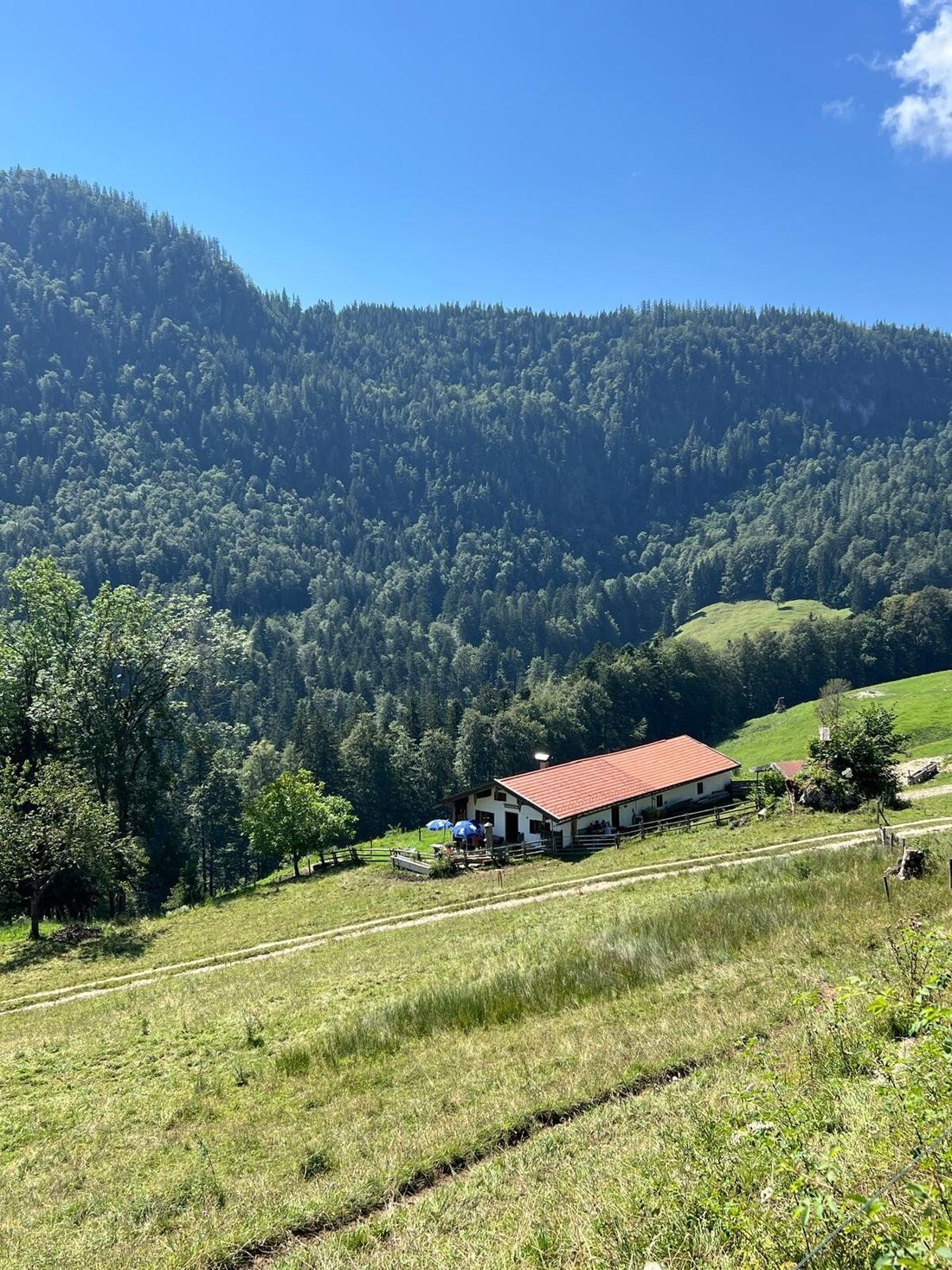 Baumgartner Alm