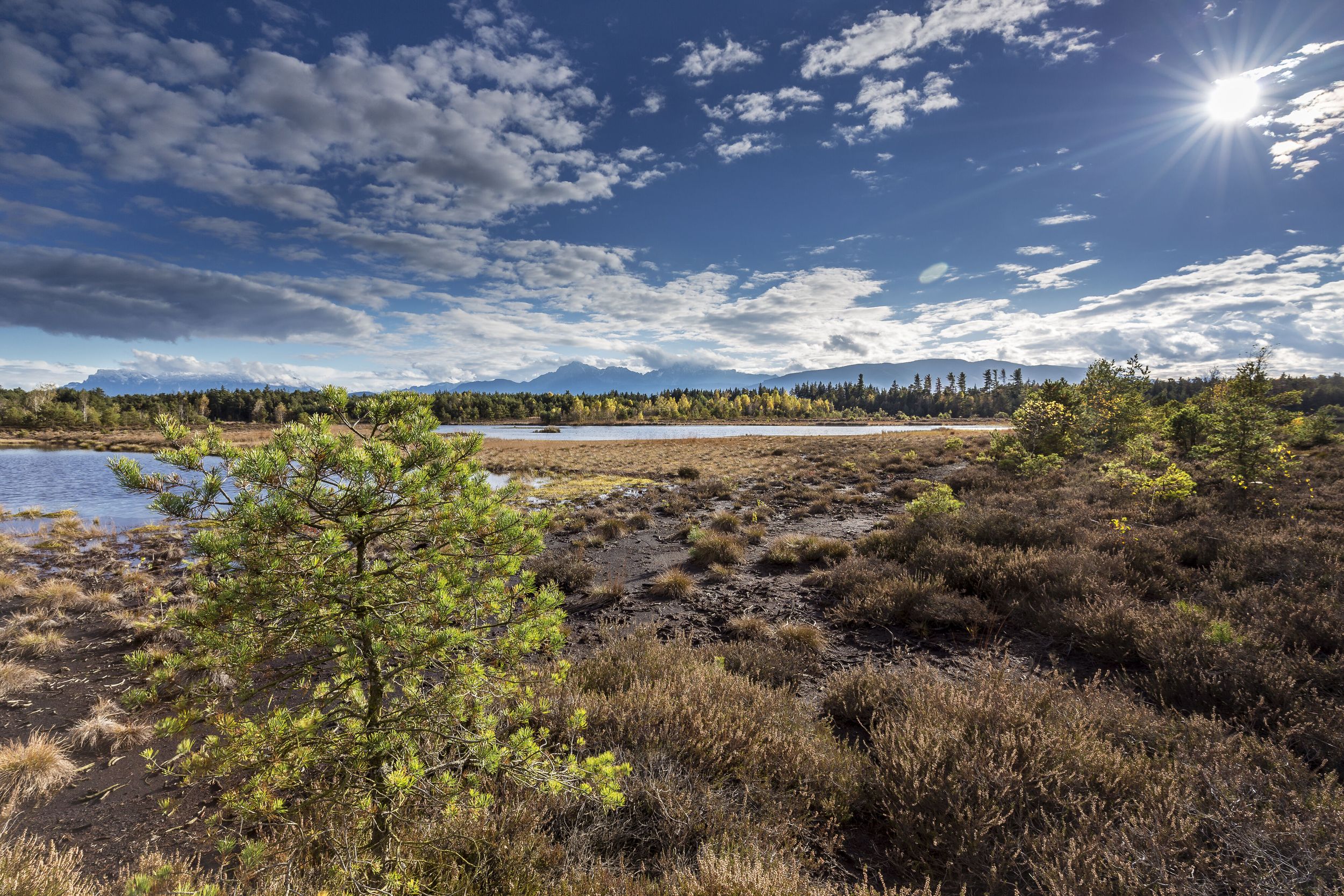 Blick auf das Schönramer Filz bei Petting