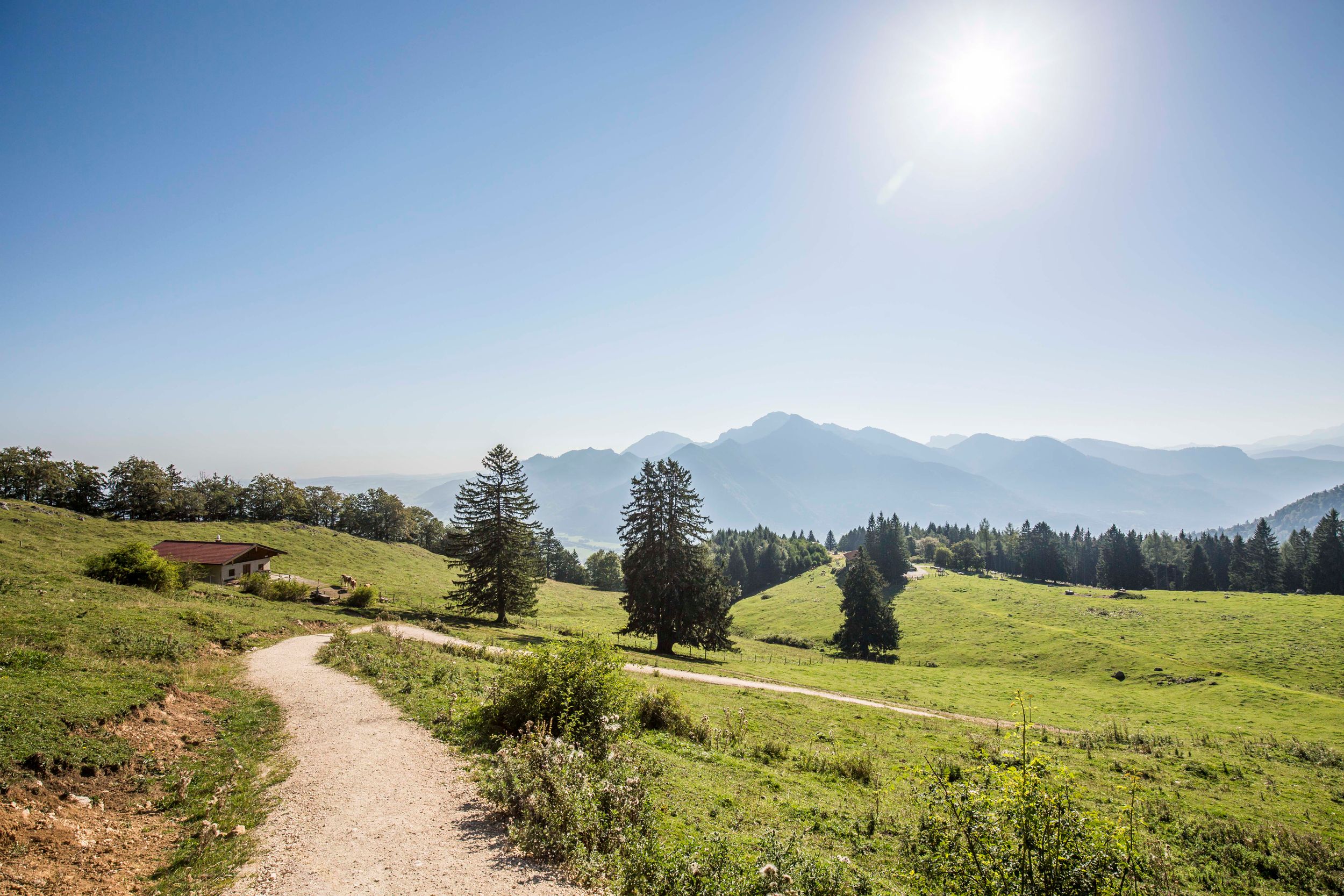 wanderweg-hochplatte-marquartstein