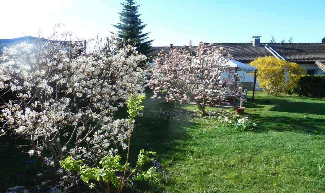 Garten