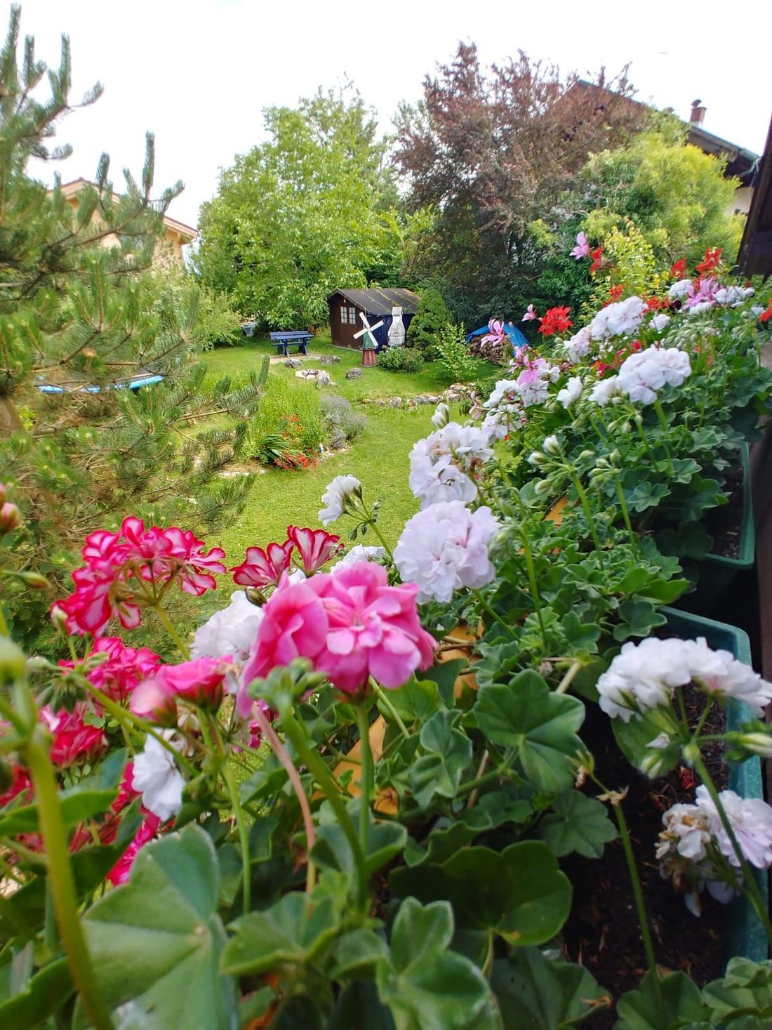 Blick vom Balkon