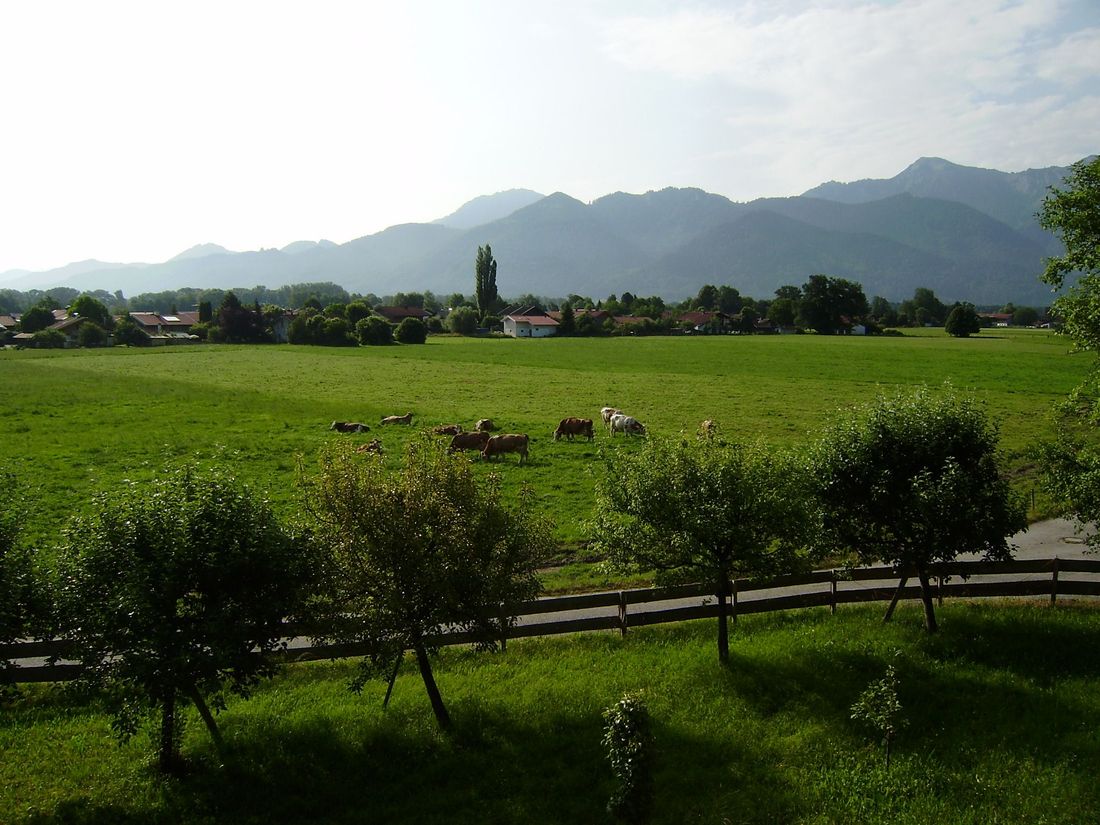 Ausblick