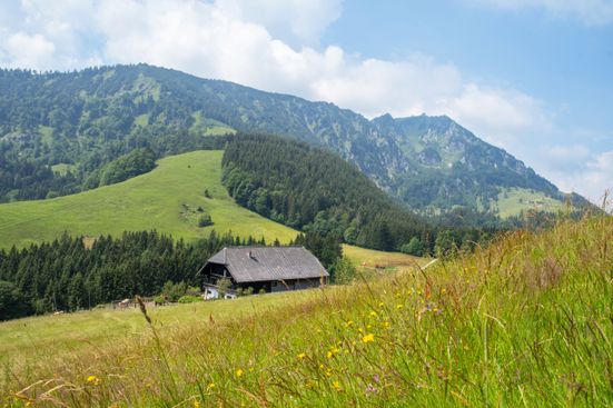 Hocherbalm-mit-Hochfelln