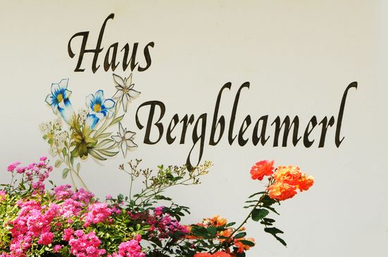 Haus Bergbleamerl