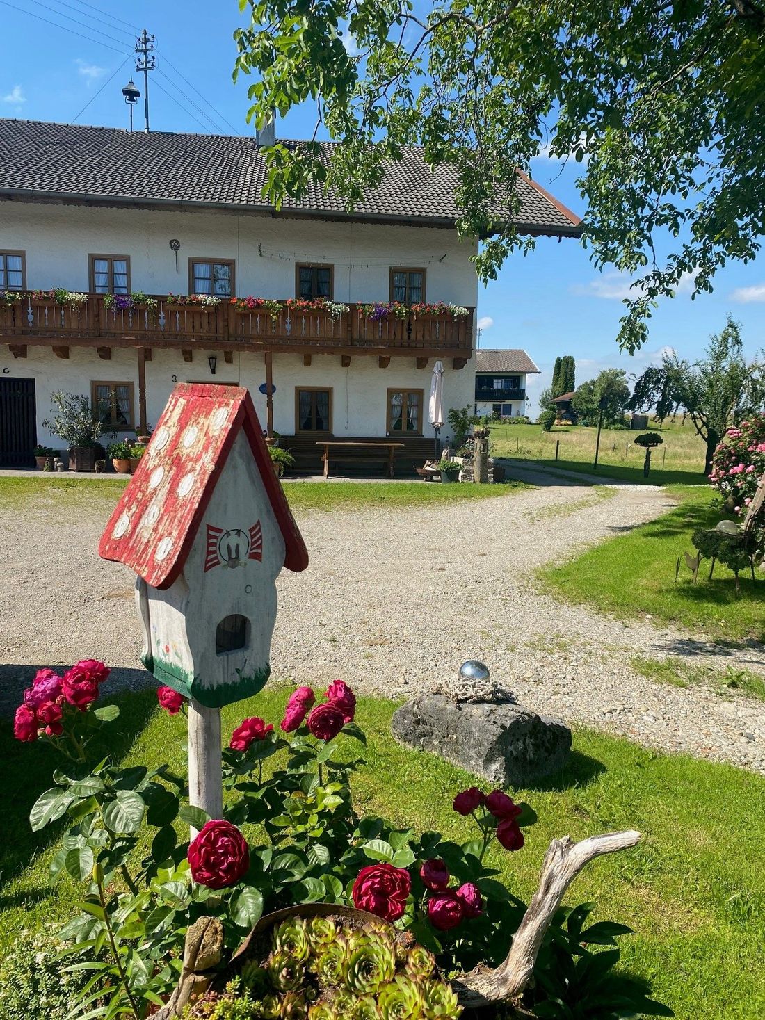 Blick zum Hof
