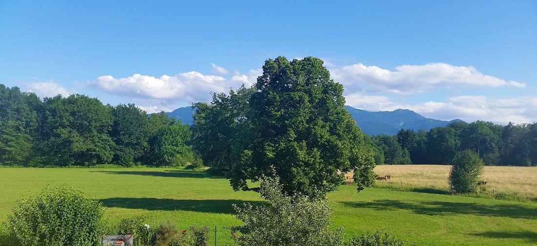 Blick auf den Hochgern