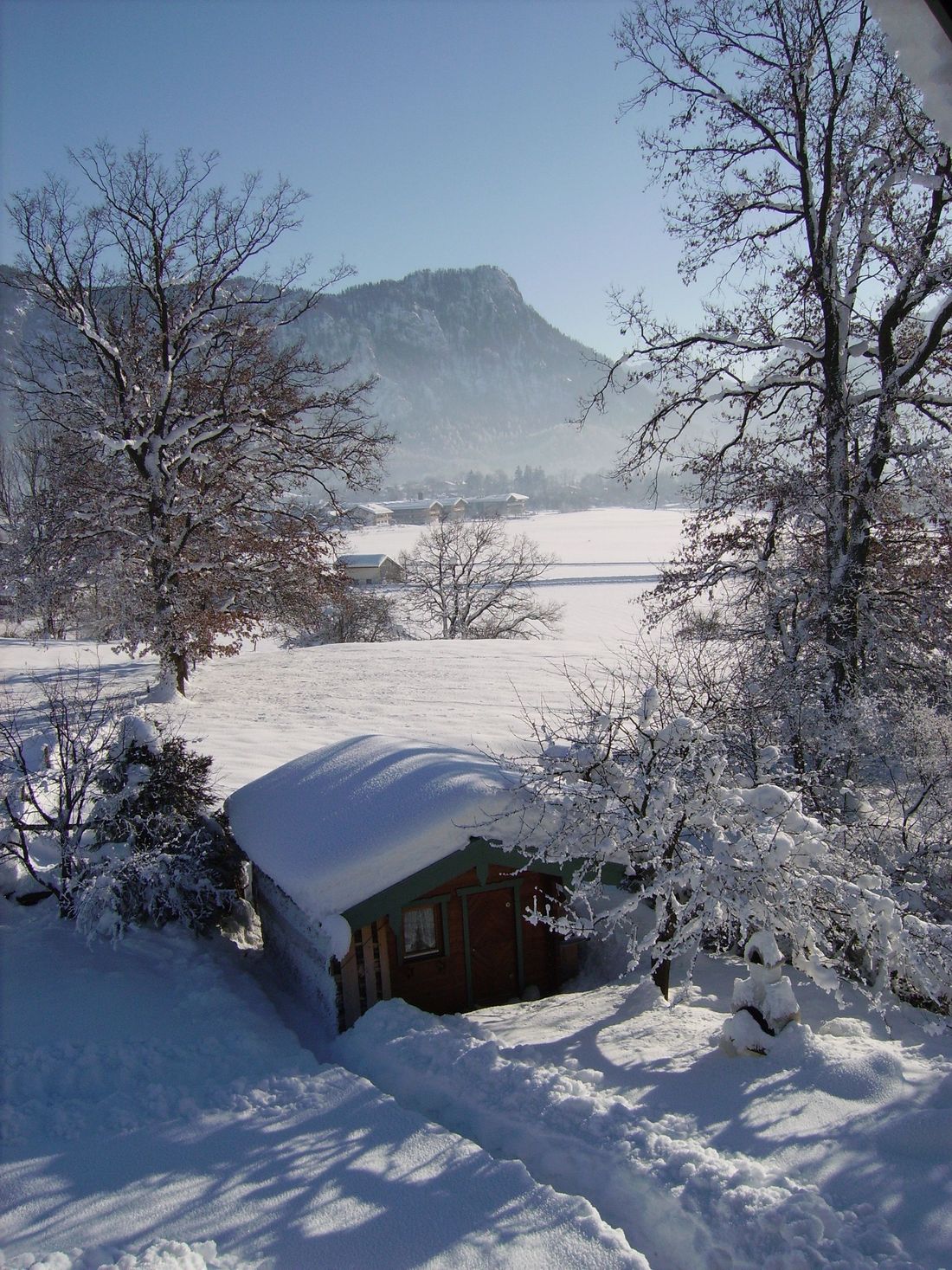 Winter