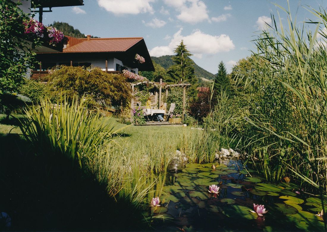 Garten mit Teich