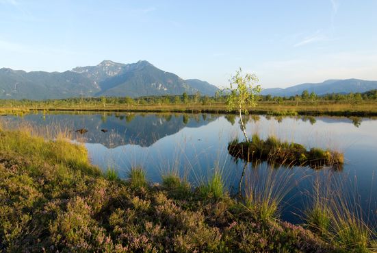 Trailrun Moor - Wasserfall - Panoramaweg