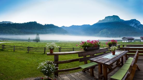 Blick ins Röthelmoos