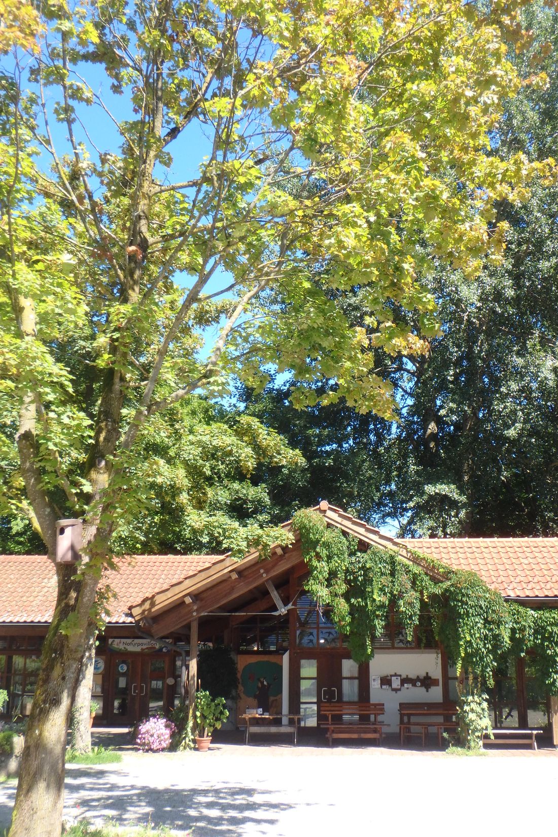 Zellerpark_neu