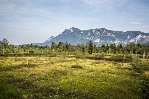 Moorerlebnispfad Inzell