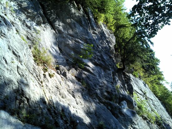 Auerwandl