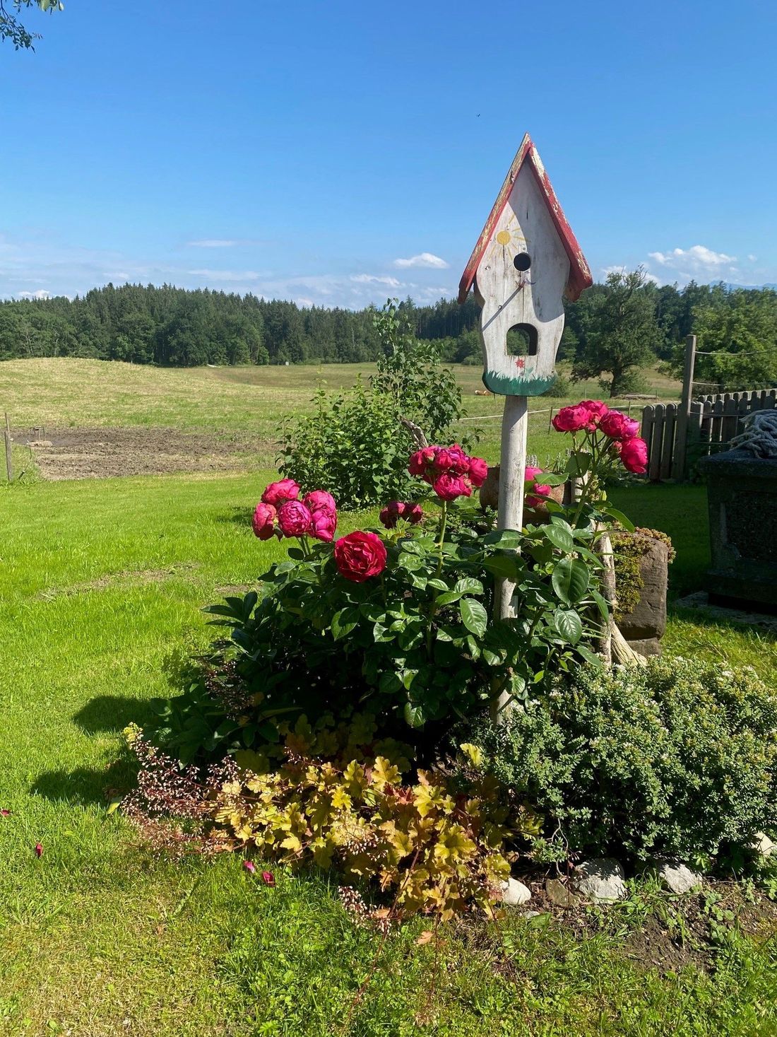 Blick ins Moor