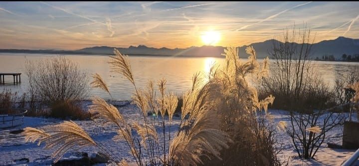 Winterstimmung am See