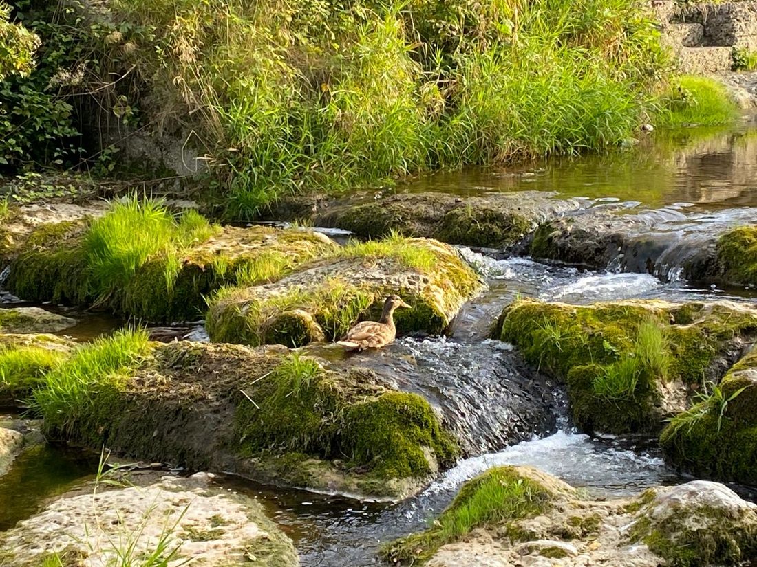Es plätschert so schön ...