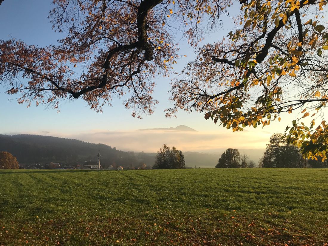 Blick von unserer Hof Kapelle nach Vachendorf