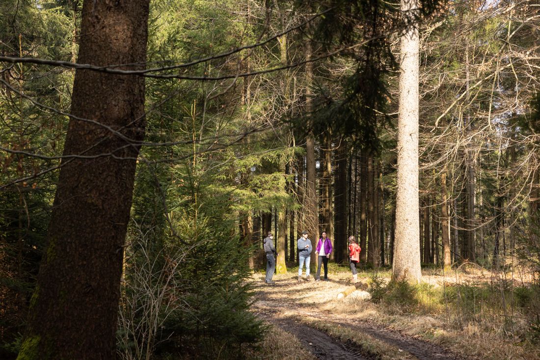 Wanderung für das Gemüt
