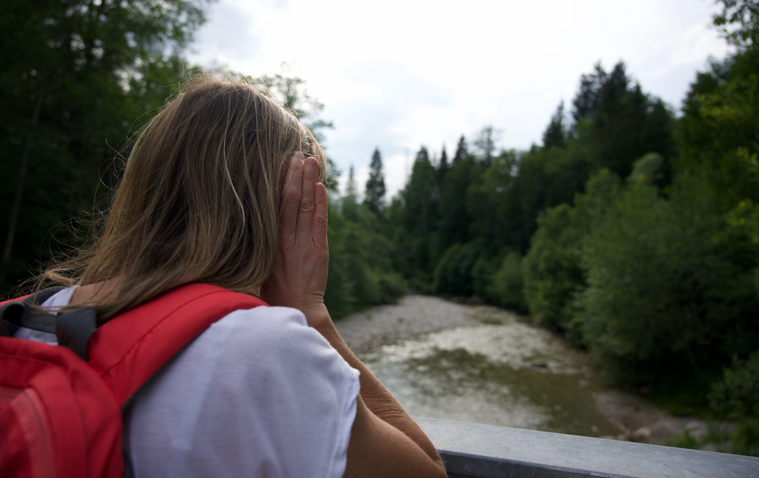 Ohren auf Weg an der Loferbrücke