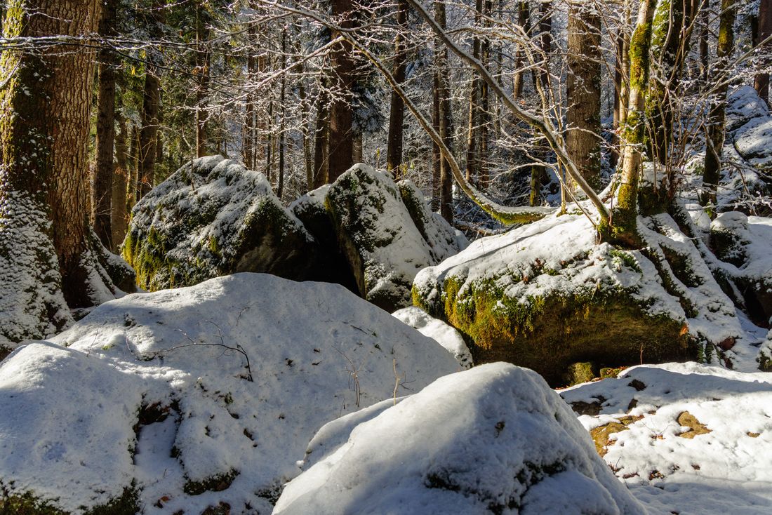 Verwunschene Felsen im Märchenwald