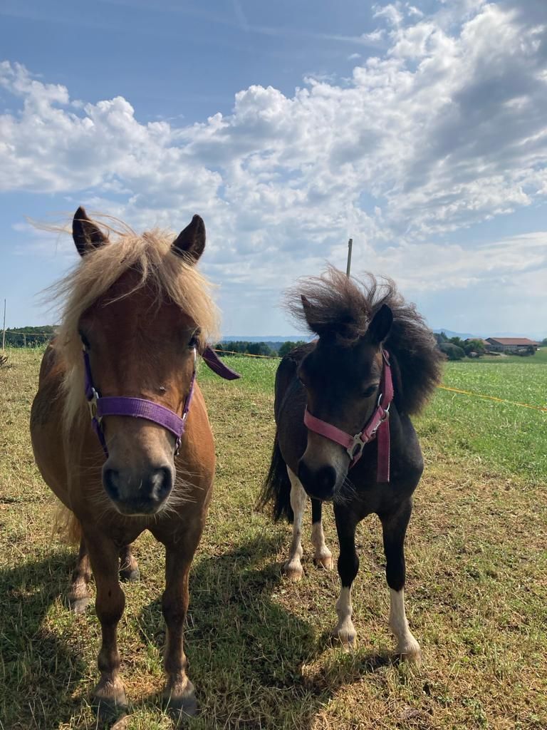 Zilly und Daisy
