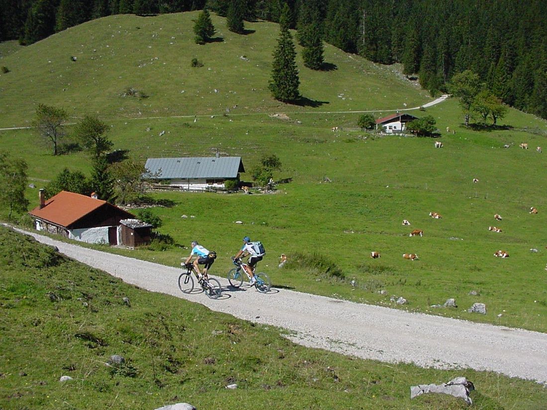 Hintere Dalsenalm