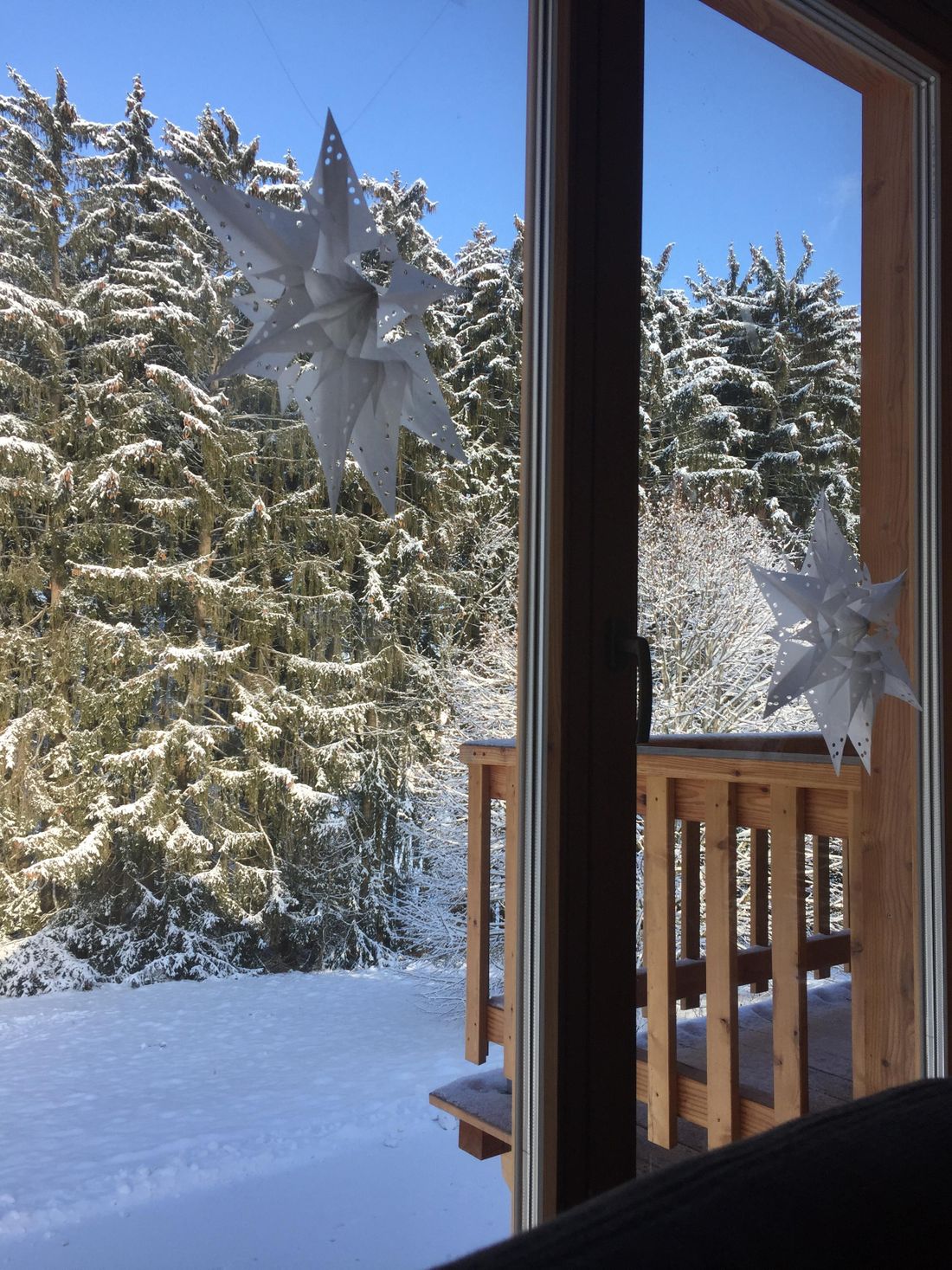Blick vom Wohnzimmer auf Winterwald