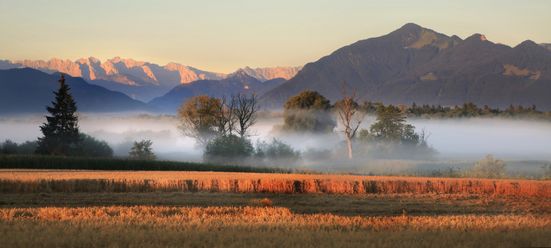 Grabenstätter Moos im Herbst © Sepp Niederbuchner.jpg