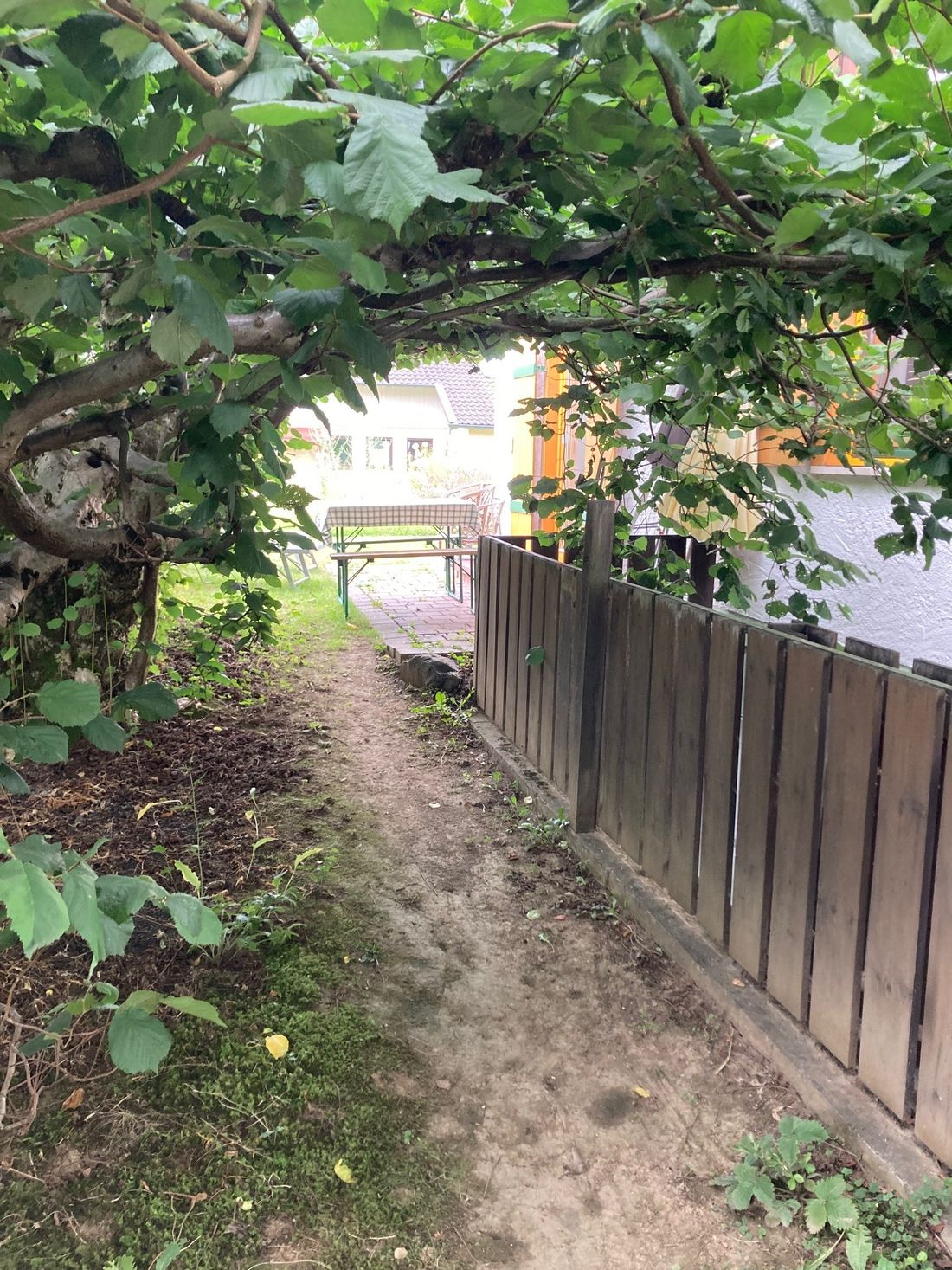 Weg vom Carport zur Terrasse
