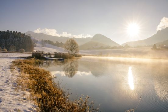 Sonniges Plätzchen am Froschsee