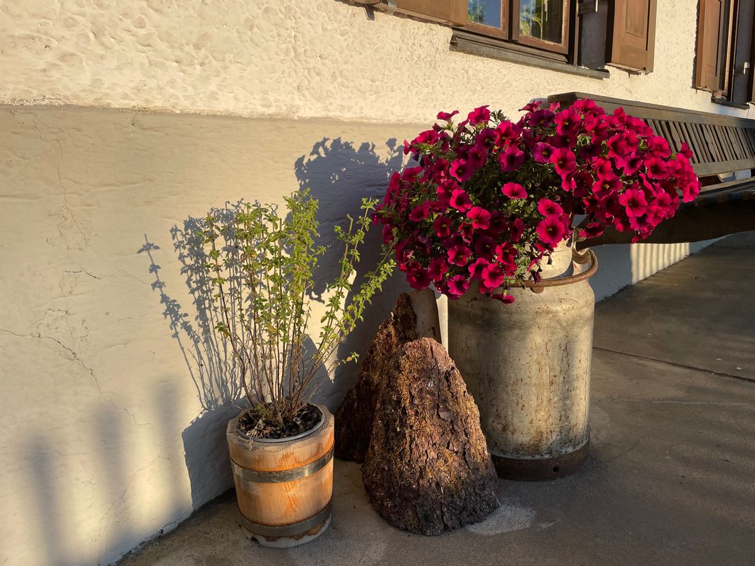 Blumen vor dem Hauseingang