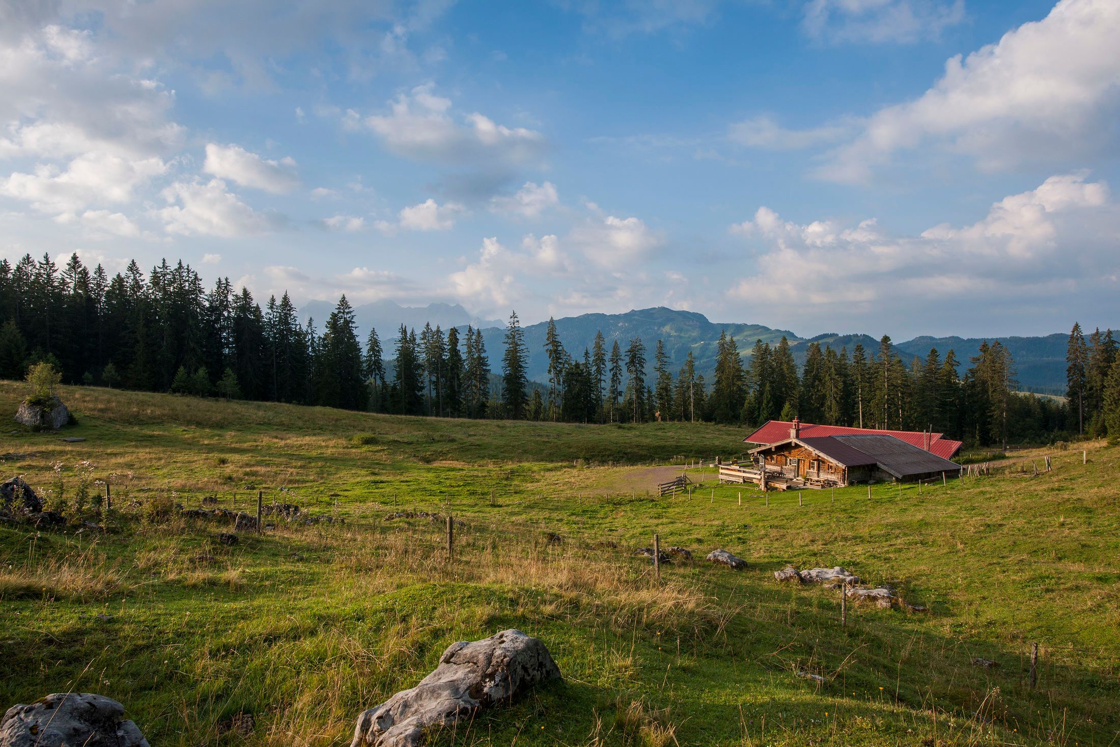 Finsterbachalm Panorama