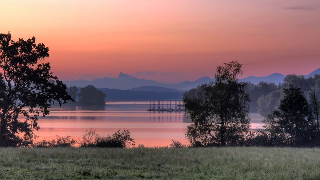 seeteufelbucht-am-waginger-see