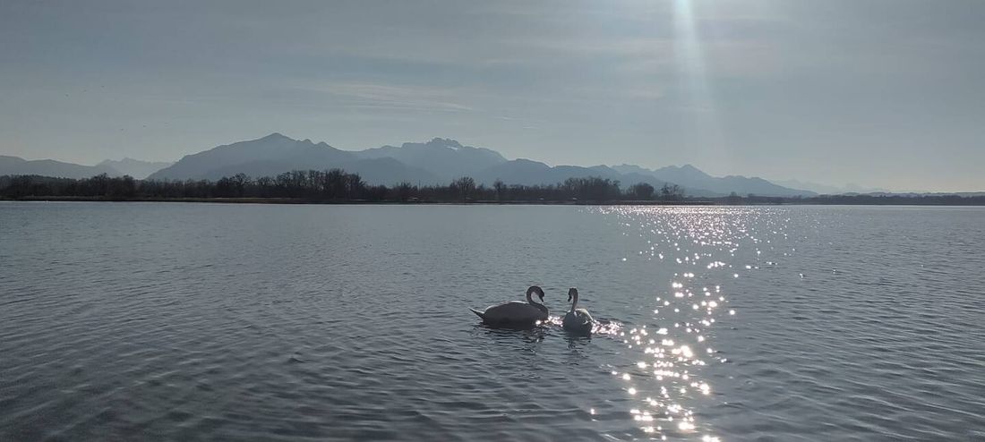 Chiemsee