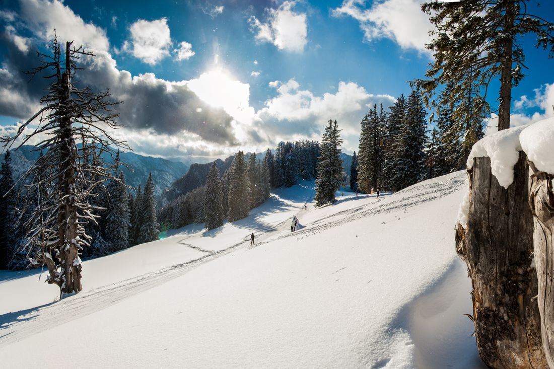 Verschneiter, sonniger Weg auf dem Unternberg