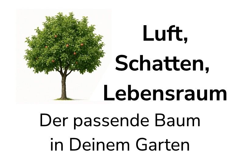 Luft