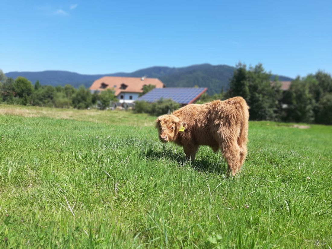 Natur pur.