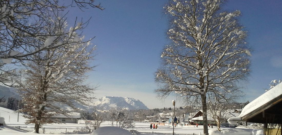 Winterimpression
