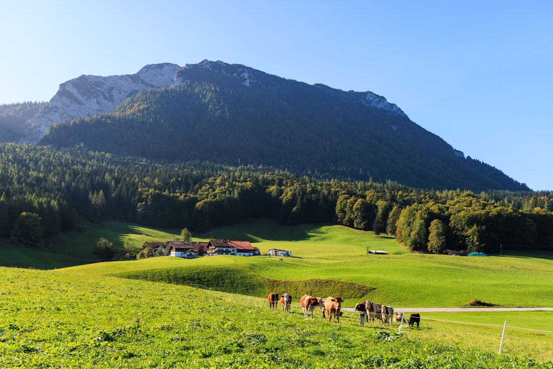 Rauschberg