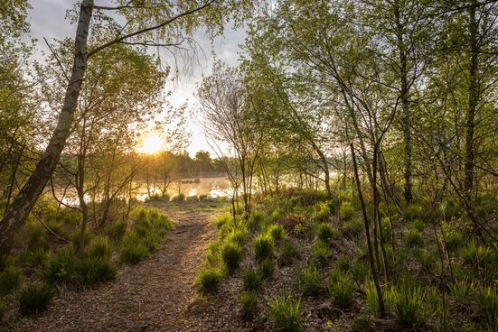Am Moorrundweg in der Kendlmühlfilzen