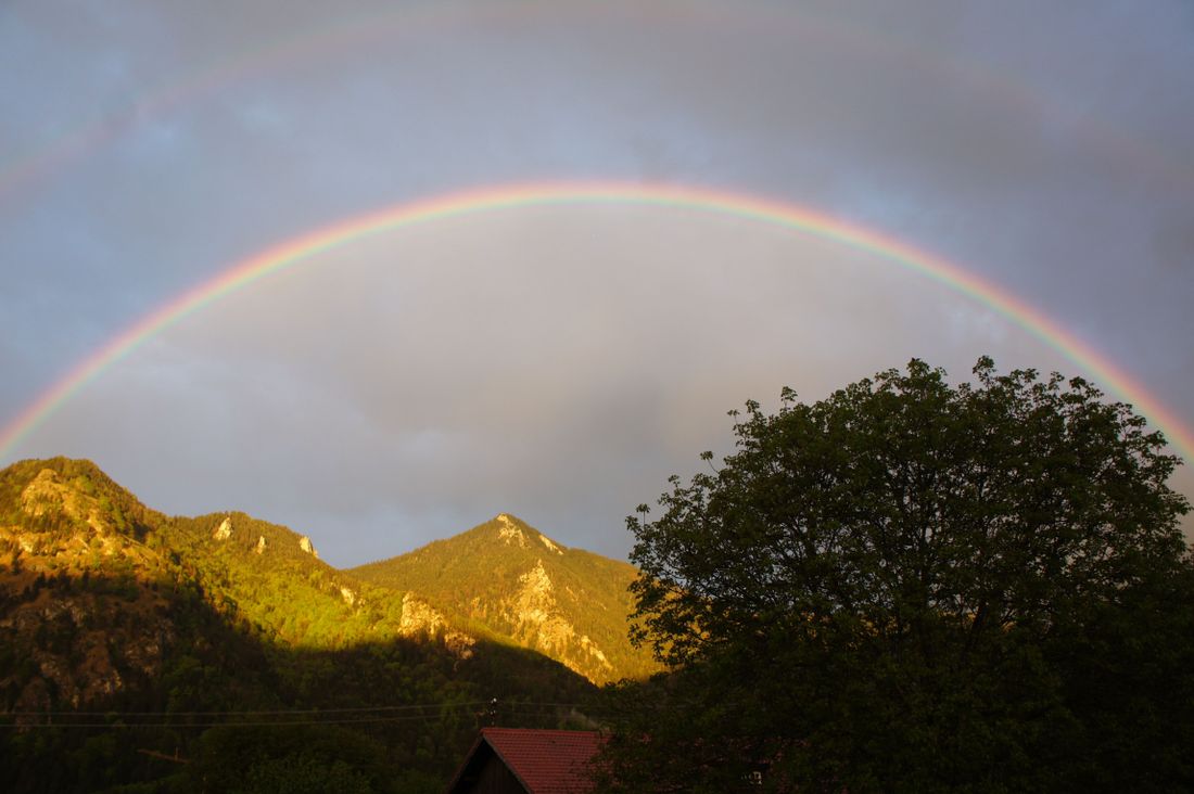 Hochlerchblick