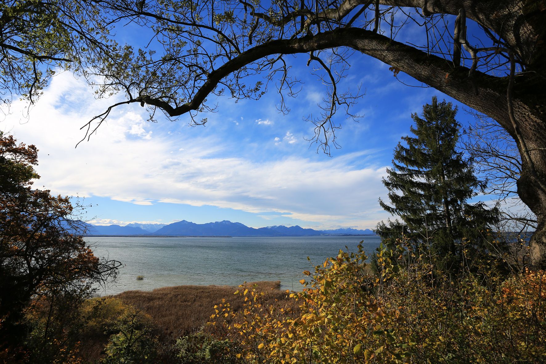 Chiemsee 5-11 014beakl - Niederbuchner