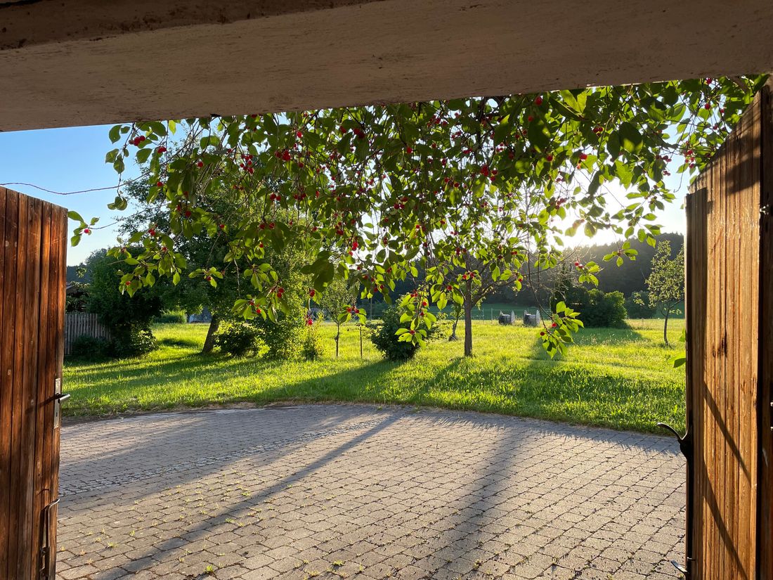 Ausblick vom Nebengebäude