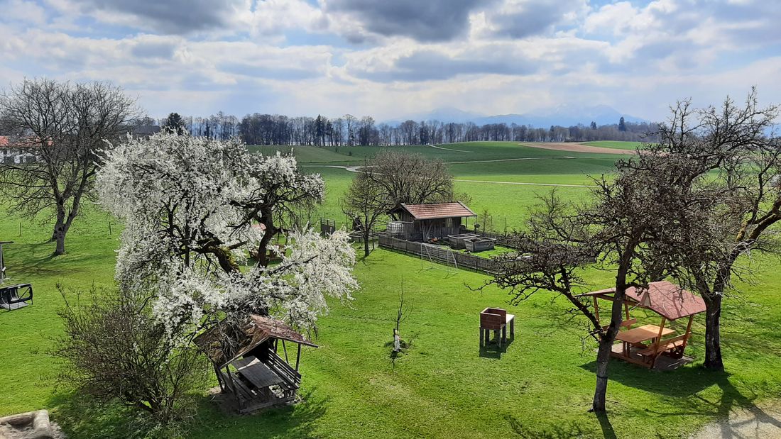 Ausblick vom Balkon