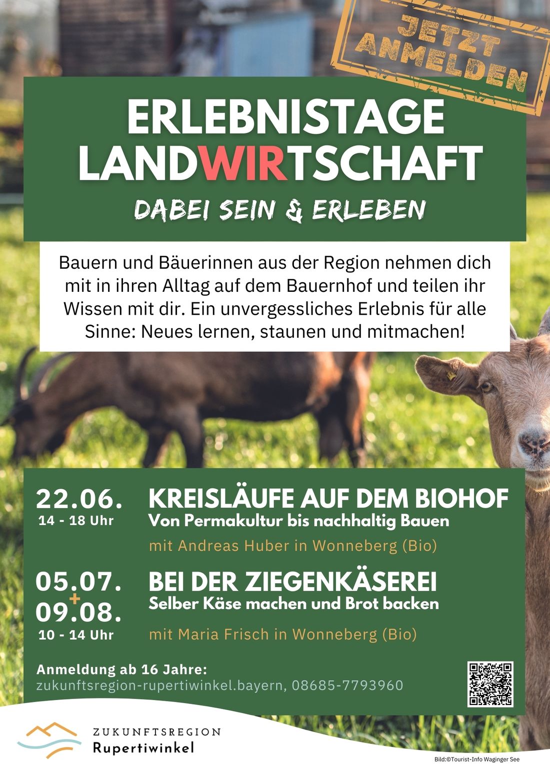 A4_Plakat Erlebnistage 2025