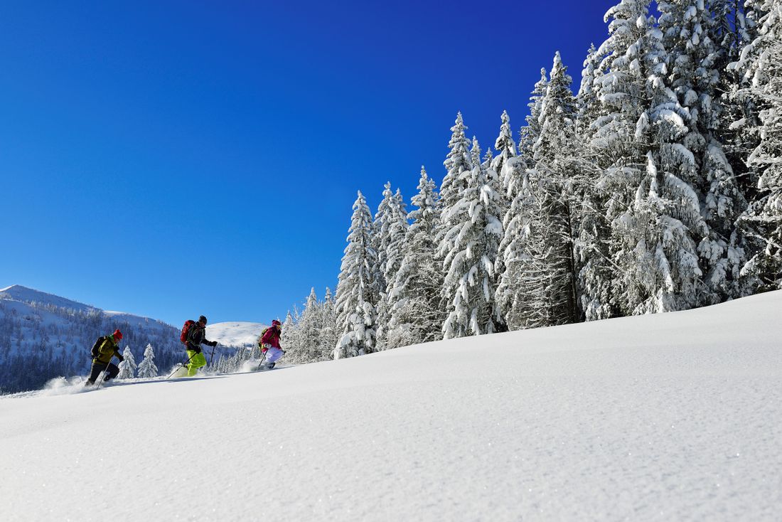 Schneeschuhwandern Hemmersuppenalm Fellhorn