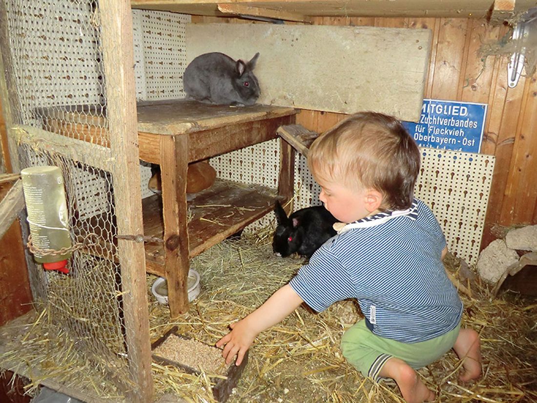 Kind mit Hasen