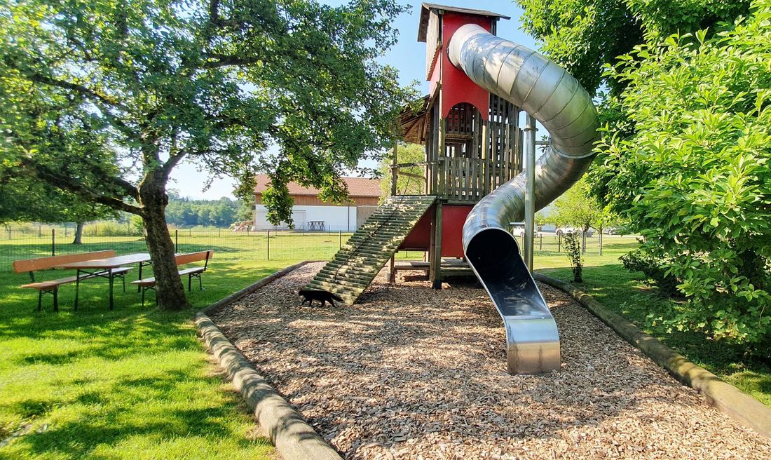 perfekt für die Kids